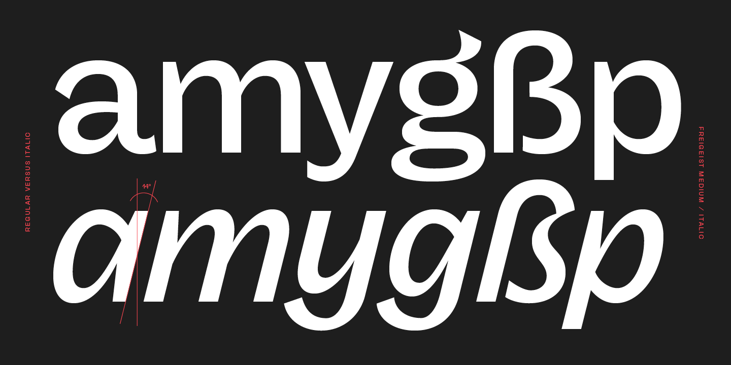 Przykład czcionki Freigeist Bold Italic